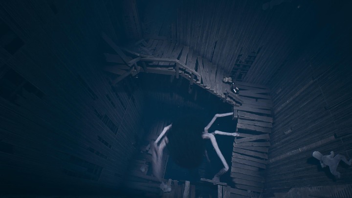 REANIMAL_20260404144635