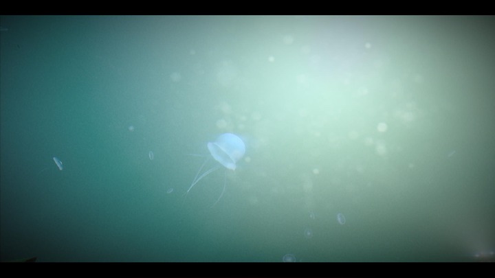 Under The Waves_20230903121213