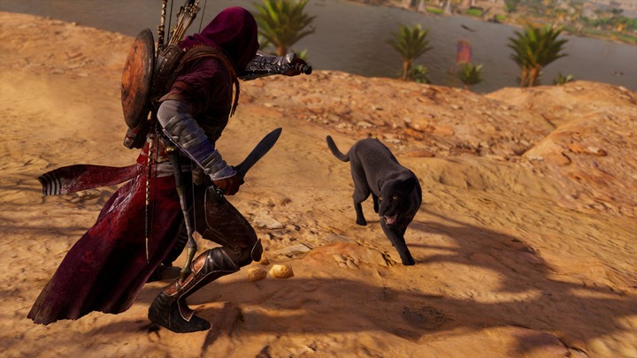Assassin's Creed® Origins__291
