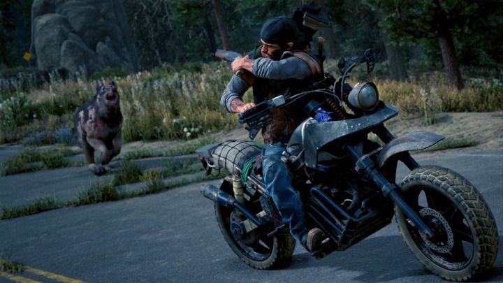 DAYS GONE_20201103234833