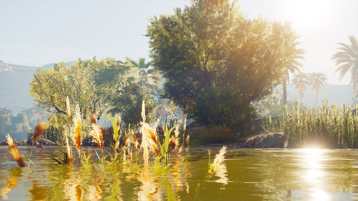 Assassin's Creed® Origins__871