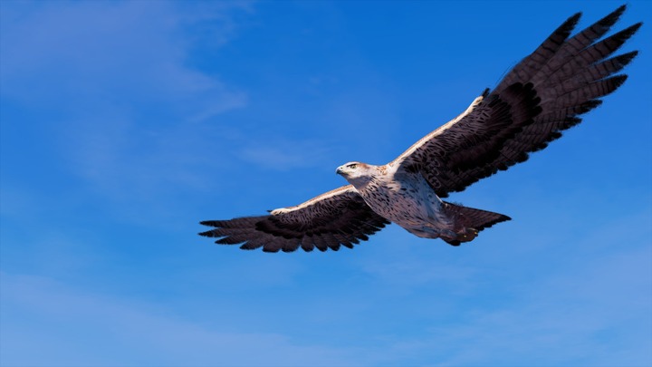 Assassin's Creed® Origins__15