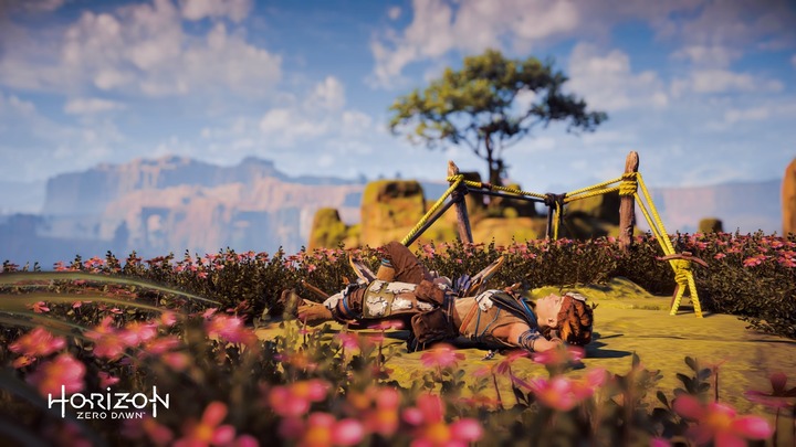 Horizon Zero Dawn™_ Complete Edition_20191106012553