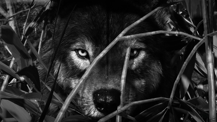 Ghost of Yōtei_20251003232320