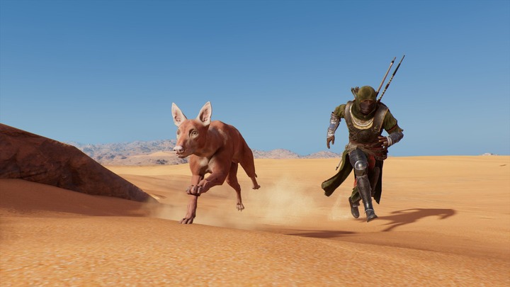 Assassin's Creed® Origins__227