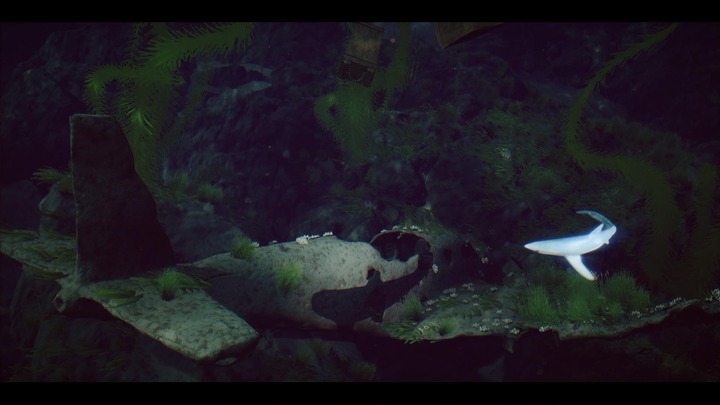 Under The Waves_20230903131305