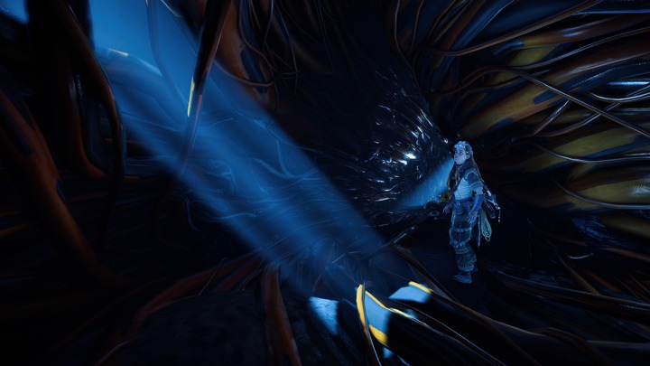 Horizon Forbidden West_20220226230810