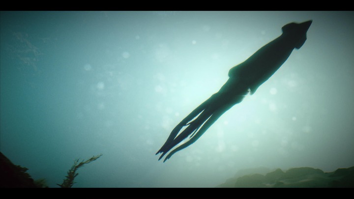 Under The Waves_20230903122026
