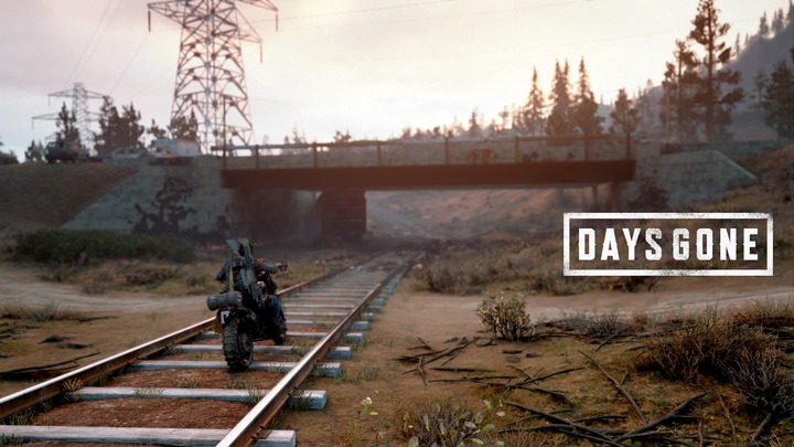 DAYS GONE_20201115222937