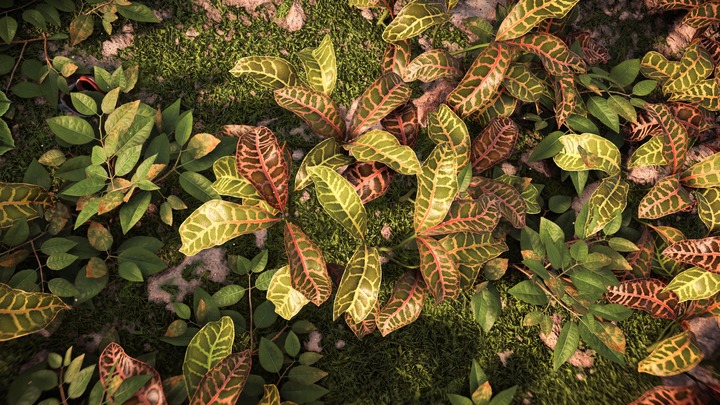 Horizon Forbidden West_20220319215124