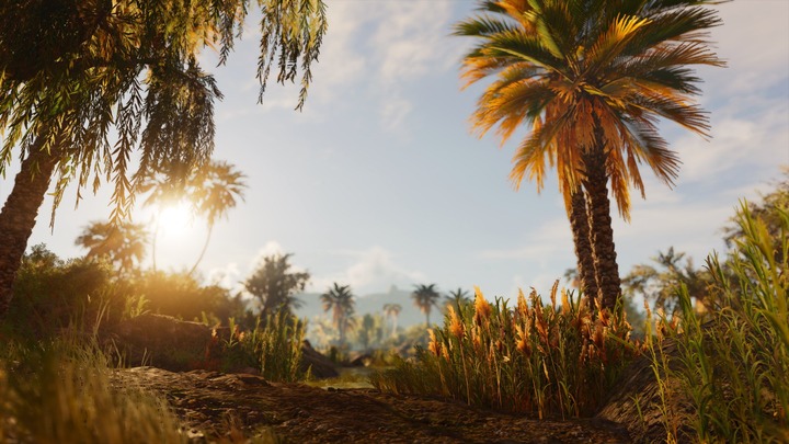 Assassin's Creed® Origins__872