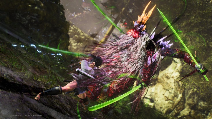 仁王3　体験版_20260202234832