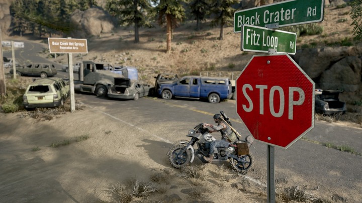 DAYS GONE_20201121133803