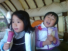 �������ٷ�