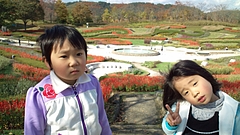 �ߤ��Τ����ʸ���ȹ���