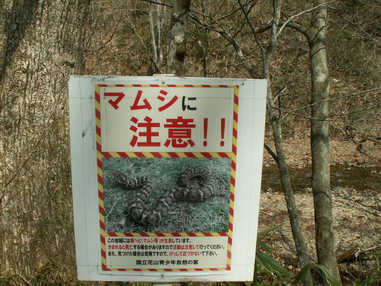 栗原市旧花山村砥沢川 どんくまさんの山まゆ日記