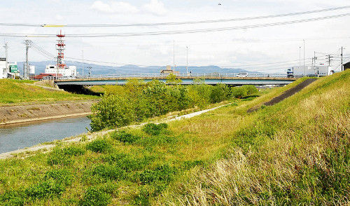 タッチ の名場面の舞台にもなった鳥取市民体育館の取り壊しが決定 鳥取県のローカルニュース速報