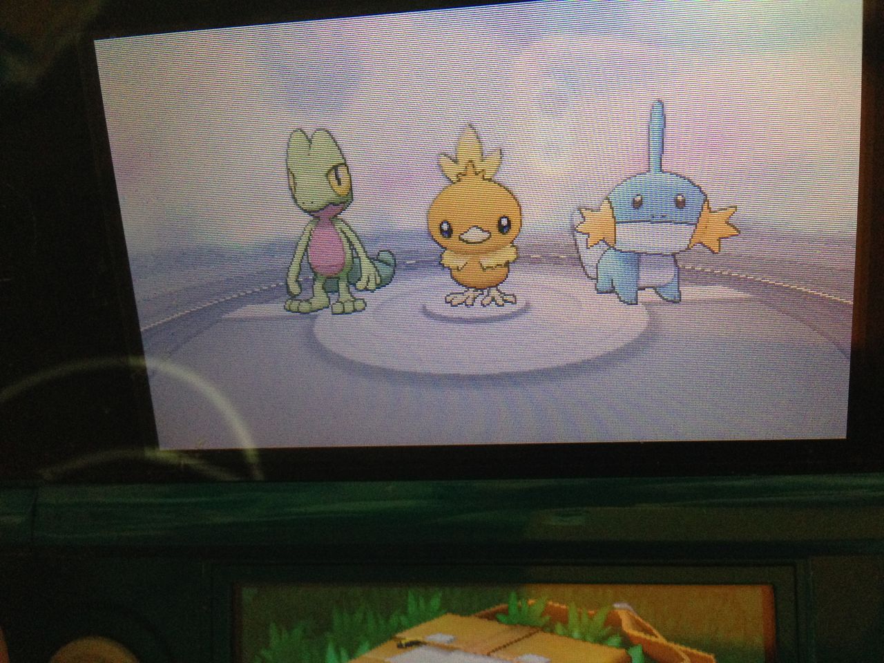 青春時代を共にした普及の名作が3dsでリメイク ポケットモンスターオメガルビー アルファサファイア にハマりそう 限定版もまだ買えるよ 東大大学院中退してコンビニバイト始めたら人生が輝きだした