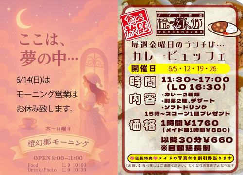 カレービュッフェポスター