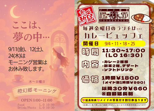 カレービュッフェポスター