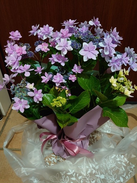 IMG_20230514_212424_(600_x_800_ピクセル)