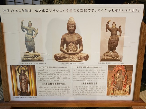 これだけ撮らせてもらいました