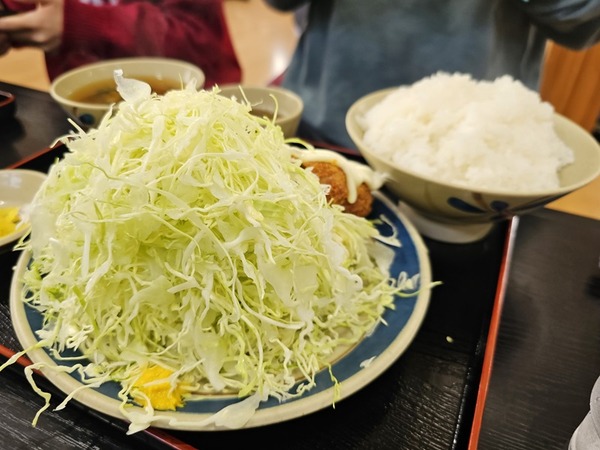 山盛りのキャベツとごはん。