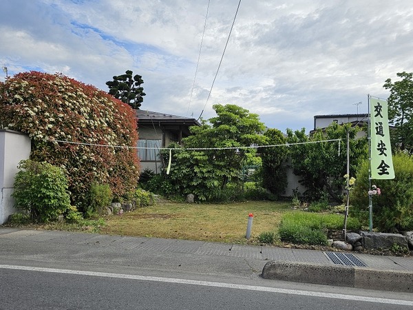 アマビエ、いなくなった