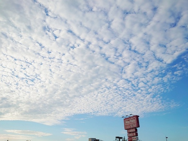 IMG_20221017_123752_(800_x_600_ピクセル)