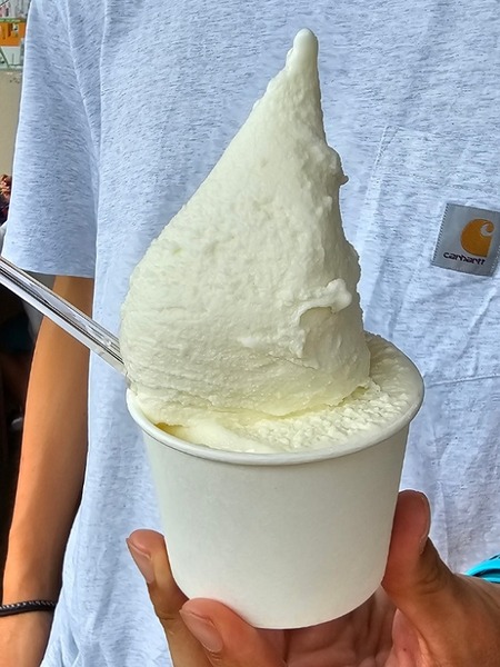 IMG_20240825_225520_(600_x_800_ピクセル)