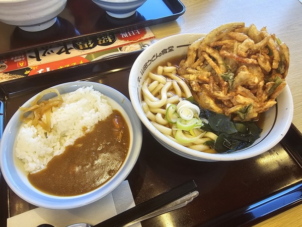 かき揚げとミニカレー