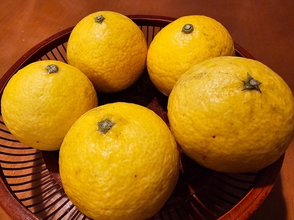 IMG_20260304_124337_(800_x_600_ピクセル)