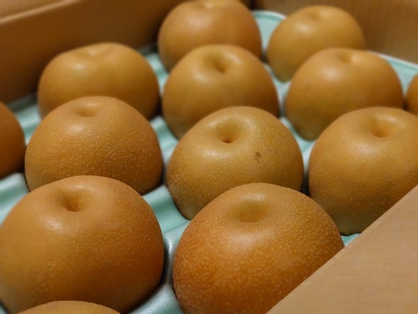 IMG_24082020_205433_(800_x_600_ピクセル)