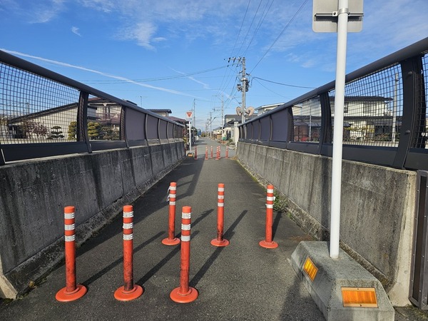 ここに来るんですよ