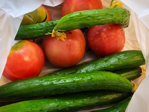 IMG_20240731_065707_(800_x_600_ピクセル)