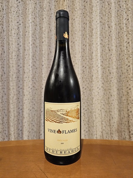 いよいよ飲みます♪