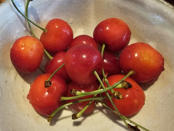 いただきました