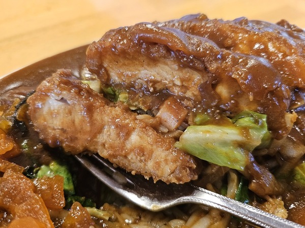 カツもどーんと