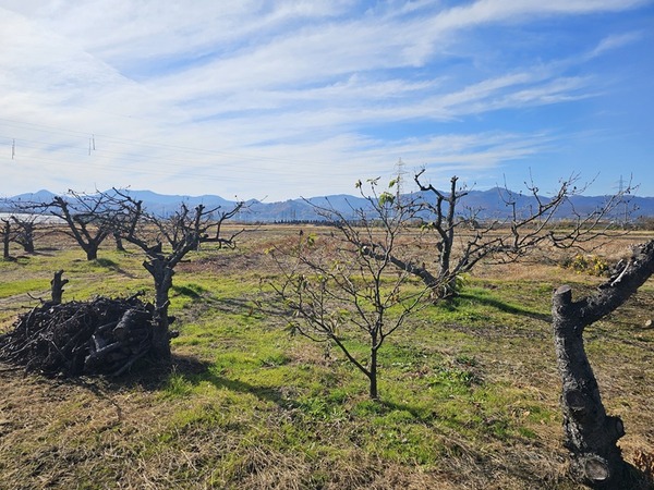 当時を偲ばせる景色