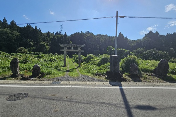 完全なる逆光