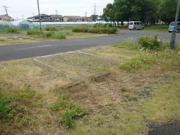 荒れてますな。