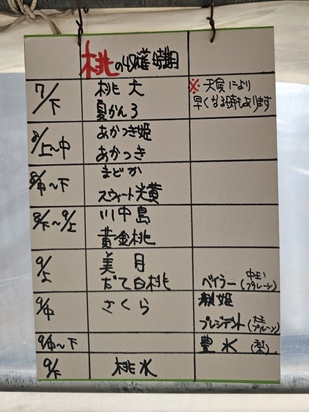 時期によって