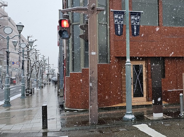 ついに動きが！