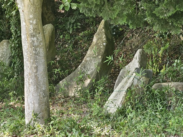 見つけてしまった