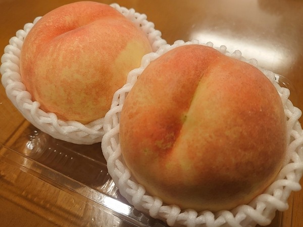 IMG_08092021_225344_(800_x_600_ピクセル)