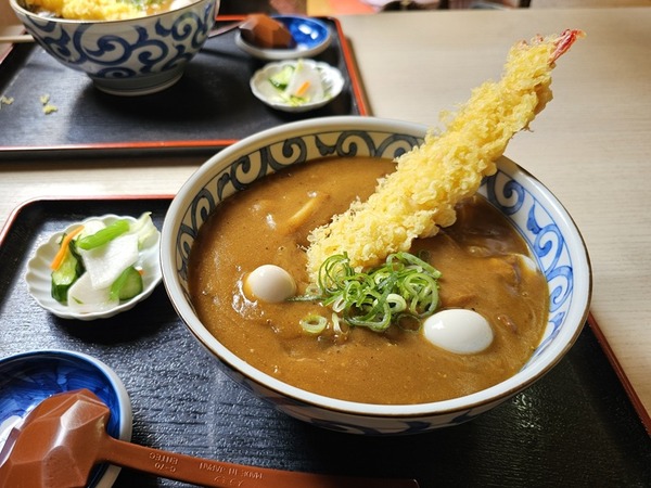 夏のカレーうどん