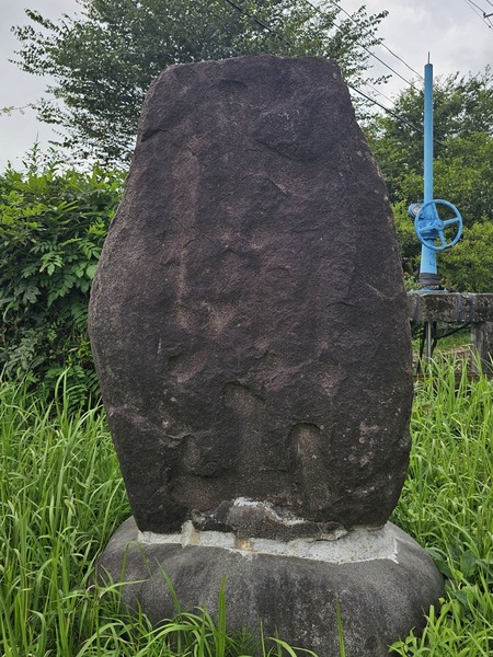 読めません
