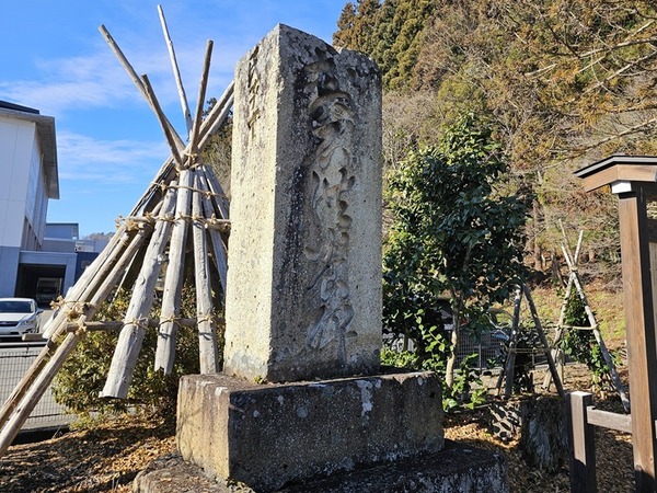 これはなんと？