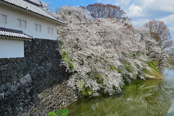 IMG_20240412_212138_(900_x_600_ピクセル)