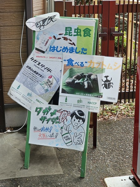 虫を食べ、飲む。